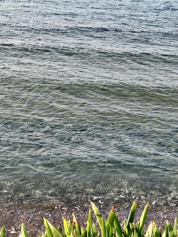 Frosso'S Sea Apartments Kokkini Hani エクステリア 写真
